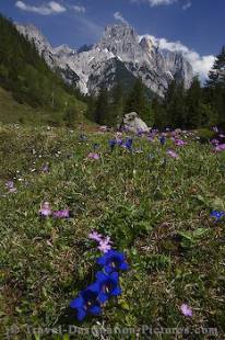 Hiking trail in the Alps of Bavaria near Berchtesgaden enroute to Bindalm.
