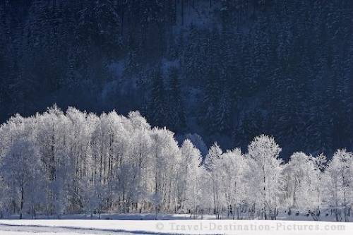 Winter Landscape Pinzgau Austria